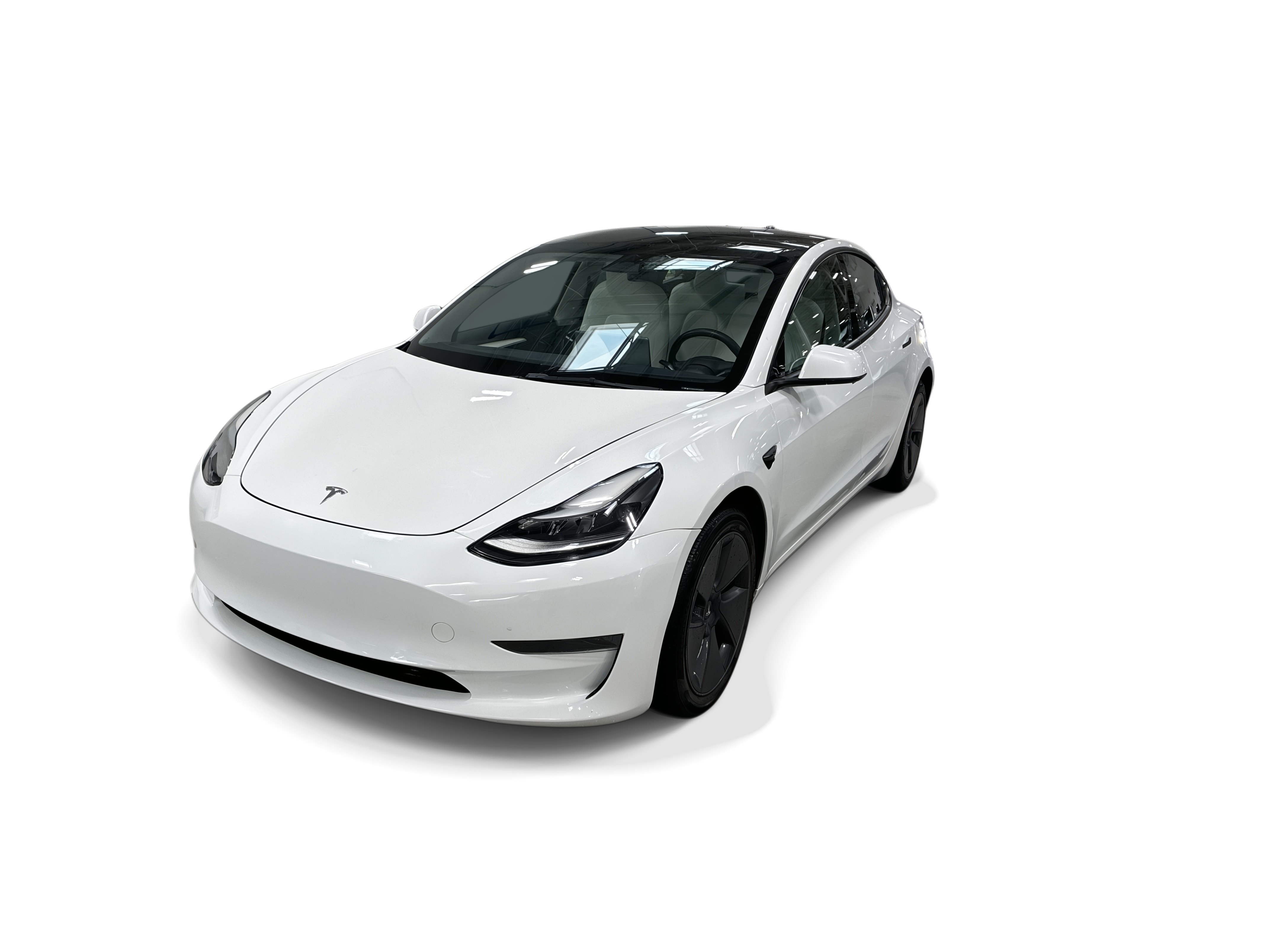 tesla model 3 2023 5YJ3E1EA2PF499854 image tesla model 3 2023 5YJ3E1EA2PF499854 image